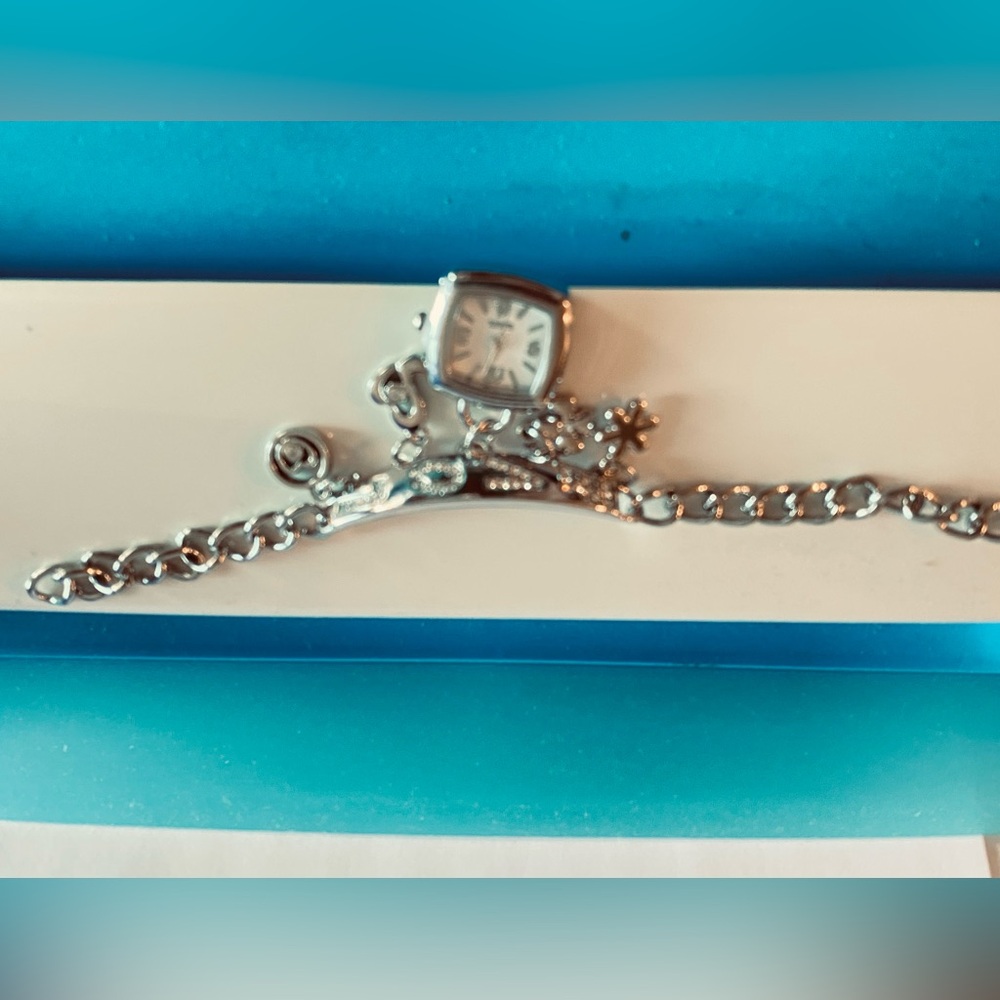 Watch charm bracelet NWOT